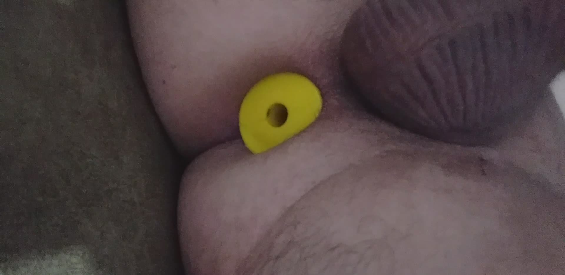 ass hol plug